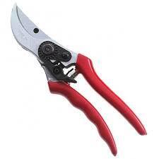 ΨΑΛΛΙΔΙ ΚΛΑΔΟΥ ΙΩ GP1004 0426